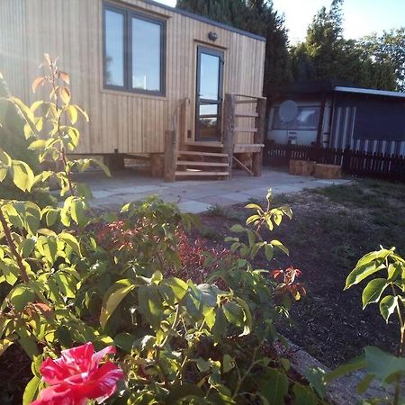Tiny House Calido Villa Apelern Exteriör bild
